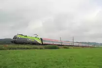 1116 141  City-Airport-Train  mit einem EC aus Frankfurt bei Bernau am Chiemsee, aufgenommen am 27. August 2013.