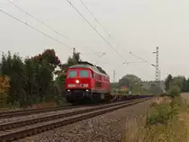 233 521-4 zusehen am 07.10.13 kurz vor Syrau/V.