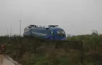 Die vermutlich bei Rangierarbeiten im G�terverkehrszentrum Erfurt-Vieselbach entgleiste MWB 1116 911-7 (91 80 6182 911-8 D-MWB) am 11.10.2013. Sie wurde �ber den Prellbock vom Auszuggleis geschoben und ist eine kleine B�schung herunter get�rzt.