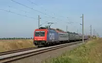482 043 bespannte am 04.10.13 den M�ller-Sonderzug(S�uferzug) von K�ln nach Halle(S). Kurz vor dem Ziel durchf�hrt der Partysonderzug Braschwitz.