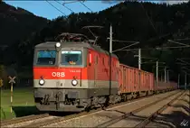 1144.003 mit G�terzug am 17.10.13 zwischen Bruck/Mur und Niklasdorf.