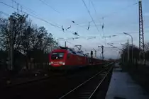 182 008-3 Ausfahrt Finsterwalde (Niederlasusitz) 29.09.2009