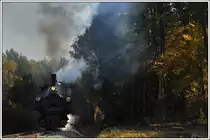 298.56 (ex N�LB U.6) am Vormittag des 19.10.2013 n�chst Stallhof kurz vor Stainz aufgenommen.