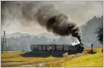 298.56 (ex N�LB U.6) am Vormittag des 19.10.2013 in Herbersdorf aufgenommen.