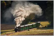 298.56 (ex N�LB U.6) am Vormittag des 19.10.2013 kurz vor Kraubath.

Zur Abwechslung habe ich den Wagensatz mit Photoshop einheitlich gr�n gemacht.