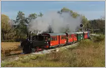 298.56 (ex N�LB U.6) am 19.10.2013 bei ehemaligen Deckungssignal in Preding.