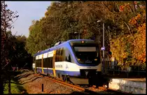 Der letzte Herbst f�r die Z�ge der OLA in Mecklenburg Vorpommern! Ostseeland Verkehr GmbH VT 0009 als OLA von Ueckerm�nde Stadthafen nach B�tzow am Hp Ueckerm�nde am 14.10.2013