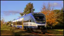 Der j�ngste Talent der OLA Flotte VT 0010 (Baujahr 2000) als OLA nach Ueckerm�nde Stadthafen am 18.10.2013 in Torgelow. Gr��e gehen hier besonders an den Tf ;)