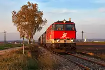 2143 072, unterwegs am vorletzten Wochenede des NostalgieExpress Leiser Berge in dieser Saison. Die Aufnahme in der Abendsonne entstand am 20.10.2013 zwischen R�ckersdorf-Harmannsdorf und Stetten Fossilienwelt.