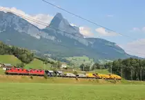 Am 25.Juli 2013 war eine  Re 8/8  mit einem kurzen G�terzug zwischen Schwyz und Arth-Goldau auf dem Weg Richtung Norden.