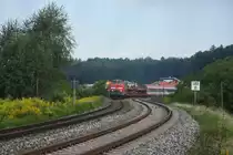 218 494-3 + 218 491-9 Bodolz 18.08.2011