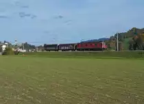 SBB: Re 6/6 11606  TURGI  mit einem eher seltenen Kurzg�terzug bei Sumiswald-Gr�nen am 21. Oktober 2013.
Foto: Walter Ruetsch 