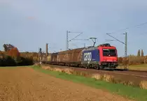 Am 23.Oktober 2013 zog SBBC/RDX 482 041 viele H-Wagen bei Elze(Han) Richtung S�den.