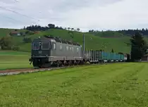 SBB:  DIE LETZTE GRUENE  Re 6/6 11646  BUSSIGNY  mit einem G�terzug bei Rohrbach am 21. Oktober 2013.
Foto: Walter Ruetsch