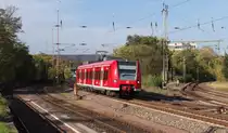 Der Herbst ziert sich noch an manchen Stellen - Auch kurz vor dem Bahnhof Dillingen Saar ist am 22.10.2013 noch viel Gr�n an den B�umen.
Dort wo der Ahorn bestand gro� ist kann man schon eher den Indianer Sommer bewundern.

426 004 ist als RB von Trier nach Homburg unterwegs und erreicht gleich den n�chsten Halt im Bahnhof Dillingen.
Von rechts f�delt sich die Niedtalstrecke in die Hauptader ein.

22.10.2013 - KBS 685 - Bahnstrecke 3230 Saarbr�cken - Karthaus