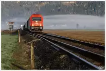 Vierschienengleis - 2016 082 rollt mit dem Hackschnitzelleerzug 63505 (P�ls-Zeltweg) durch das morgendliche Aichfeld. Zur Zeit finden umfangreiche Arbeiten an dieser Strecke statt.
Aichdorf 10_2013