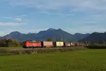Am 22.10.13 konnte ich bei Bernau am Chiemsee die DB 140 368 mit dem EZ 56498 (Freilassing - Rosenheim)  vor der Kulisse der Bayrischen Alpen aufnehmen.