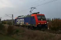 Hier 482 040-3 als Lz, auf Rangierfahrt am 9.10.2013 in Schwedt(Oder) Hbf.