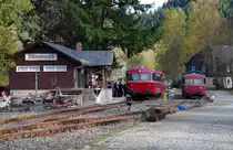 VT 798 + VS 998 der EFR am 27.10.2013 als N 8775 in D�rrenwaid gen Nordhalben. 