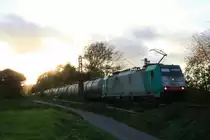 Die Cobra 2807 kommt die Gemmenicher-Rampe herunter nach Aachen-West mit einem Kurzen Kesselzug aus Antwerpen-Kanaaldok(B) nach Millingen.
Aufgenommen an der Montzenroute am Gemmenicher-Weg in der Abendsonne und Wolken am Abend vom 30.10.2013.