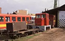 Am 15.4.1989 war ich zum ersten Mal im kleinen Schmalspur Depot in Gy�ngy�s.
Zwischen viel Ger�mpel stand dort auch eine noch gut im Lack befindliche
C 60 Diesellok.