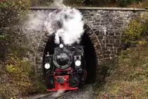 Nur noch wenige Meter, dann hat der Thumkuhlenkopftunnel unsere 99 5901 nebst ihrem IG HSB-Sonderzug  verschluckt ! Der Zug setzt hier am 18.10.2013 f�r eine Scheinanfahrt gerade zur�ck.
