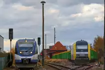 Ausfahrt eines Ola Talents in Richtung Pasewalk und an der Ladestrasse wurde bereits am Wochenende ein leerer Holzzug abgestellt, der erst am Montag beladen wird. - Am B� Borkenstr. aufgenommen und die Masten weggeschnitten.- 09.11.2013 