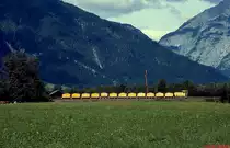 Mit einem Schotterzug ist eine Lokomotive der Diabasbahn Saalfelden (600 mm) unterwegs vom Steinbruch in Hinterberg zum ÖBB-Bahnhof Saalfelden (Juni 2000). Mit dem Transport von bis zu 1.800 Tonnen/Tag war die Bahn gut ausgelastet. Folgerichtig wurde sie 2008 durch einen Normalspuranschluss zum Diabaswerk ersetzt. Leider ist damit aber auch wieder ein Stück Schmalspurromantik verlorengegangen.