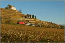 Eine SBB Re 460 mit dem IR 1430 Brig - Gen�ve A�roport kurz vor Lutry.
11. Nov. 2013