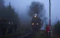 Kurz vor Einbruch der Dunkelheit und bei Nebel, wummert hier 99 7239 mit P8939, dem letzten Zug des Tages, am 18.10.2013 zum Brocken hinauf und �berquert gerade die Weiche an der Ausweichstelle  Goetheweg .