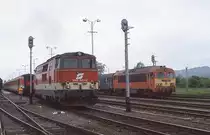 Am 14.5.1999 kamen mit Personenz�gen nach Szentgotthard in Ungarn die MAV M 412207 und die �BB 2143.044.
