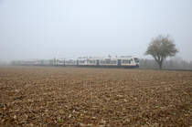 Morgens um 9:24 fährt der SWE88356 meistens 5-teilig von Breisach nach Endingen. Am 19. November 2013 waren es VT 508, 505, 012, 502 und 015. Aufgenommen habe ich den Zug zwischen Sasbach und Königschaffhausen.