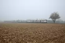 Morgens um 9:24 fährt der SWE88356 meistens 5-teilig von Breisach nach Endingen. Am 19. November 2013 waren es VT 508, 505, 012, 502 und 015. Aufgenommen habe ich den Zug zwischen Sasbach und Königschaffhausen.