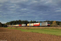 186 288 mit einem wegen Bauarbeiten �ber Holzkirchen umgeleiteten KLV Zug am 02.11.2013 bei Otterfing.
