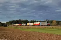 186 288 mit einem wegen Bauarbeiten �ber Holzkirchen umgeleiteten KLV Zug am 02.11.2013 bei Otterfing.

