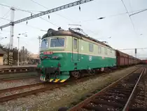 ČD Cargo 123 005-1 durchfährt mit einem Güterzug den Bahnhof Lysa nad Labem am 23.11.2013.