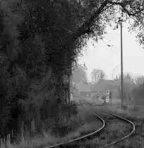 Die Unstrutbahn entlang der Ortschaft Gehofen 16.11.2013