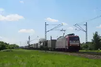 Am 18.5.2013 wurden wir von mehreren Crossrail 185er überrascht. Eine davon trug die Nummer 185 597 und erreichte uns um 11:51. 