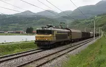Bei Orchovo am Ufer der Save ist am 29.4.2008 die noch in altem Lack befindliche
363007 mit einem Güterzug in Richtung Dobova bzw. Kroatien unterwegs.