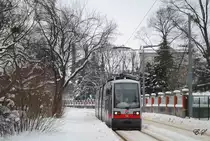 Tw.54, Wolkersbergenstraße. (19.01.2013)