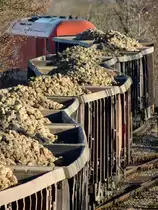 Rübenzugwurm, bzw. 2016 073-6 mit Rübe75829 bei der Bahnhofsausfahrt Ried;131223