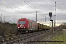 OHE 270080 mit einem Holzzug am 21.12.2013 in Köln Porz Wahn.