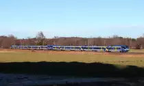 Zwei Flirts von Meridian am 28.12.13 bei Bernau nach Salzburg