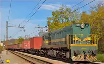 SŽ 644-025 zieht Güterzug durch Maribor-Tabor Richtung Tezno Verschiebahnhof. /22.10.2013