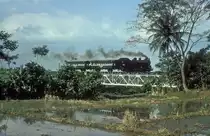  E10 60  bei Jambu  07.08.04