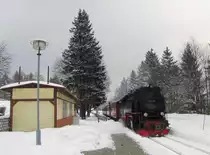 HSB 99 236 mit der HSB 8920 von Wernigerode nach Eisfelder Talmühle, am 29.03.2013 in Drei Annen Hohne.