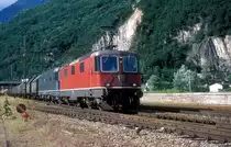 11163 + 11680  Castione  07.07.99