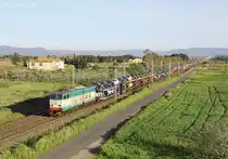 E.655 502 passes La California whilst working a north bound train of Alfa Romeo cars from Cassino to Alessandria, 15 April 2013