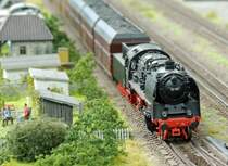 Ob sich die Laubenpieper von der vorbeirauschenden BR 50 stören lassen? (Motiv der Holle-Bahn Hessisch-Lichtenau).