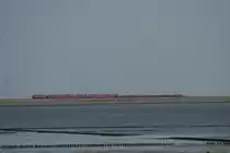 92 80 1 218 379-6 D-DB + 218 364-9 Hindenburgdamm 31.05.2008